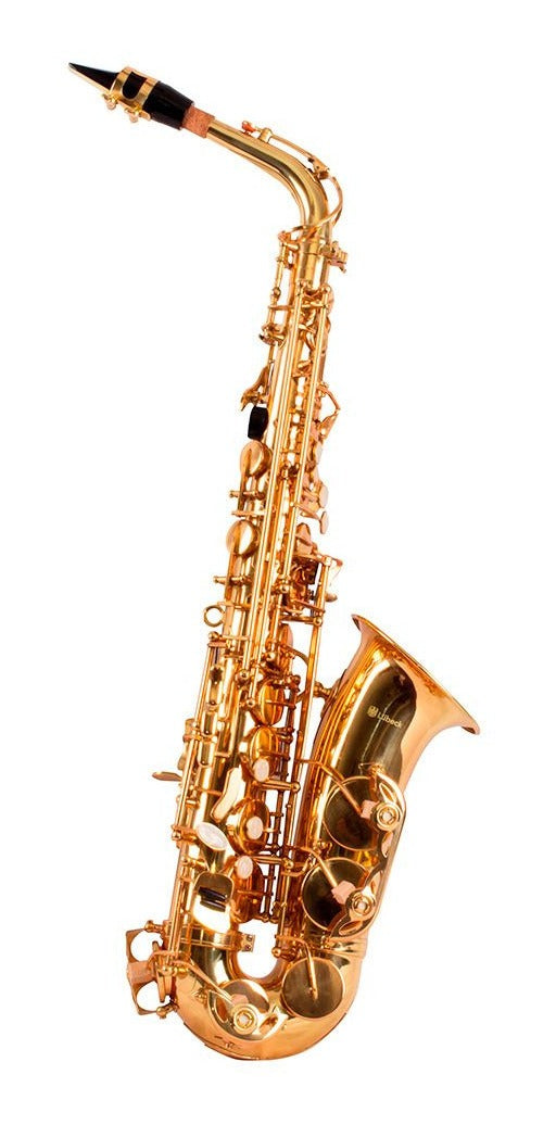 Saxo Alto Lubeck, Incluye Estuche / Lsxa1