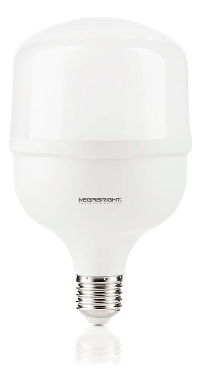 Ampolleta Lámpara Led 20w/6.500k/2250lm Megabright 4020010